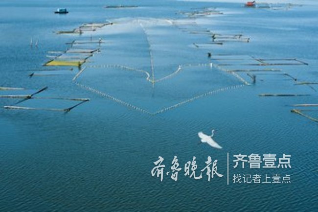 水资源压力下枣庄力推新规 从开源转向精细化管水